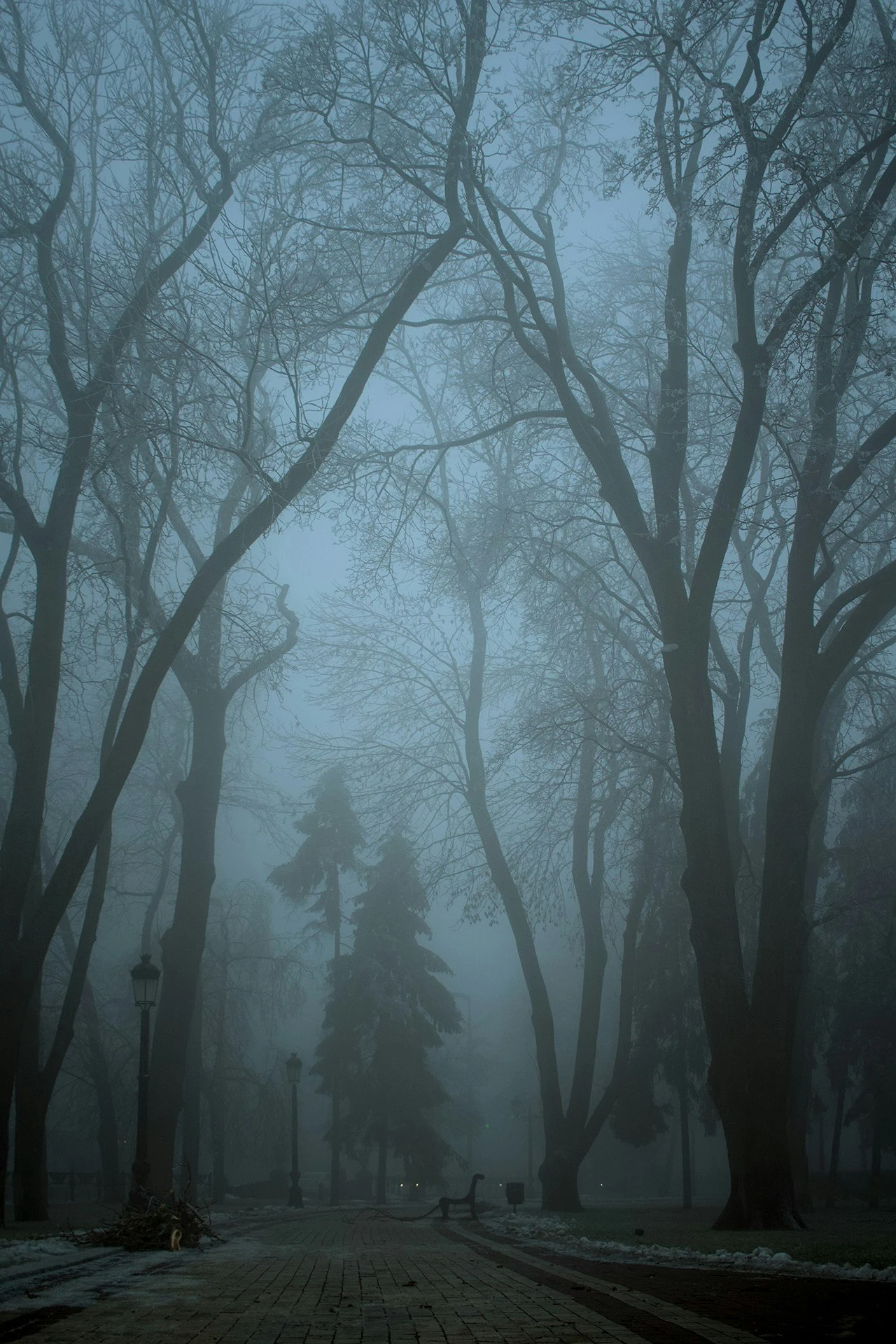 Mariinskiy park, winter