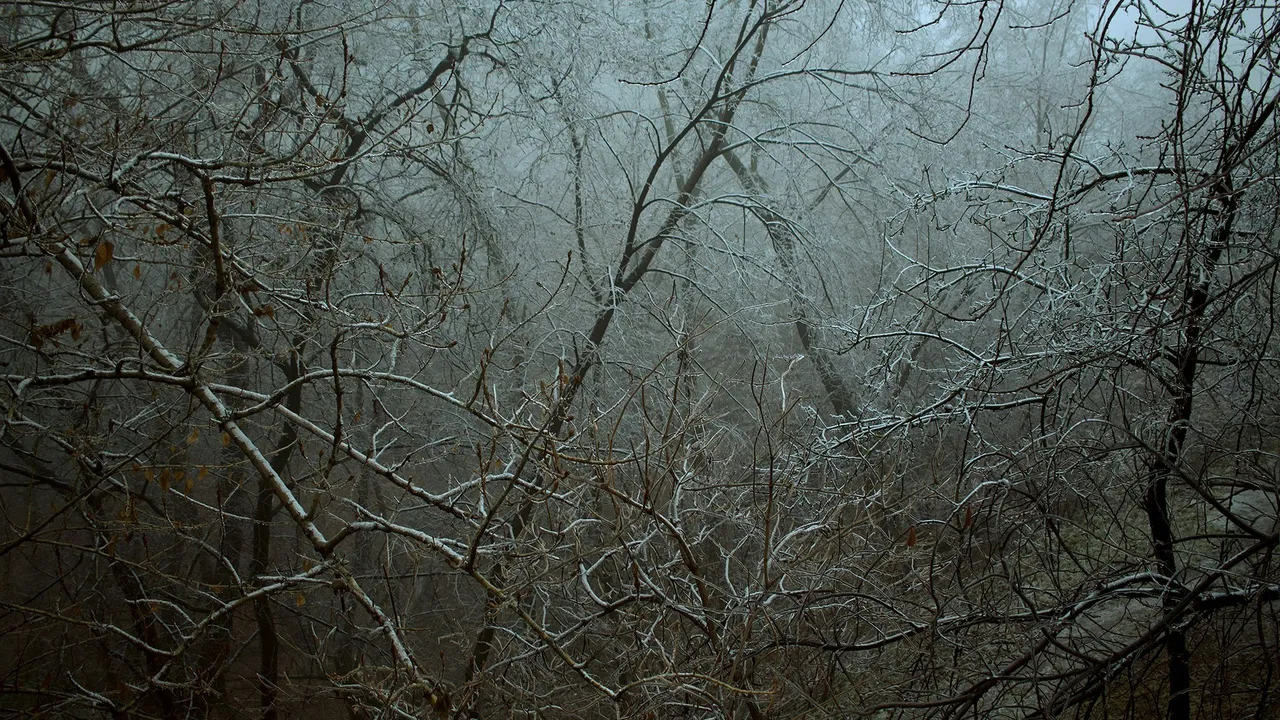 Mariinskiy park, winter