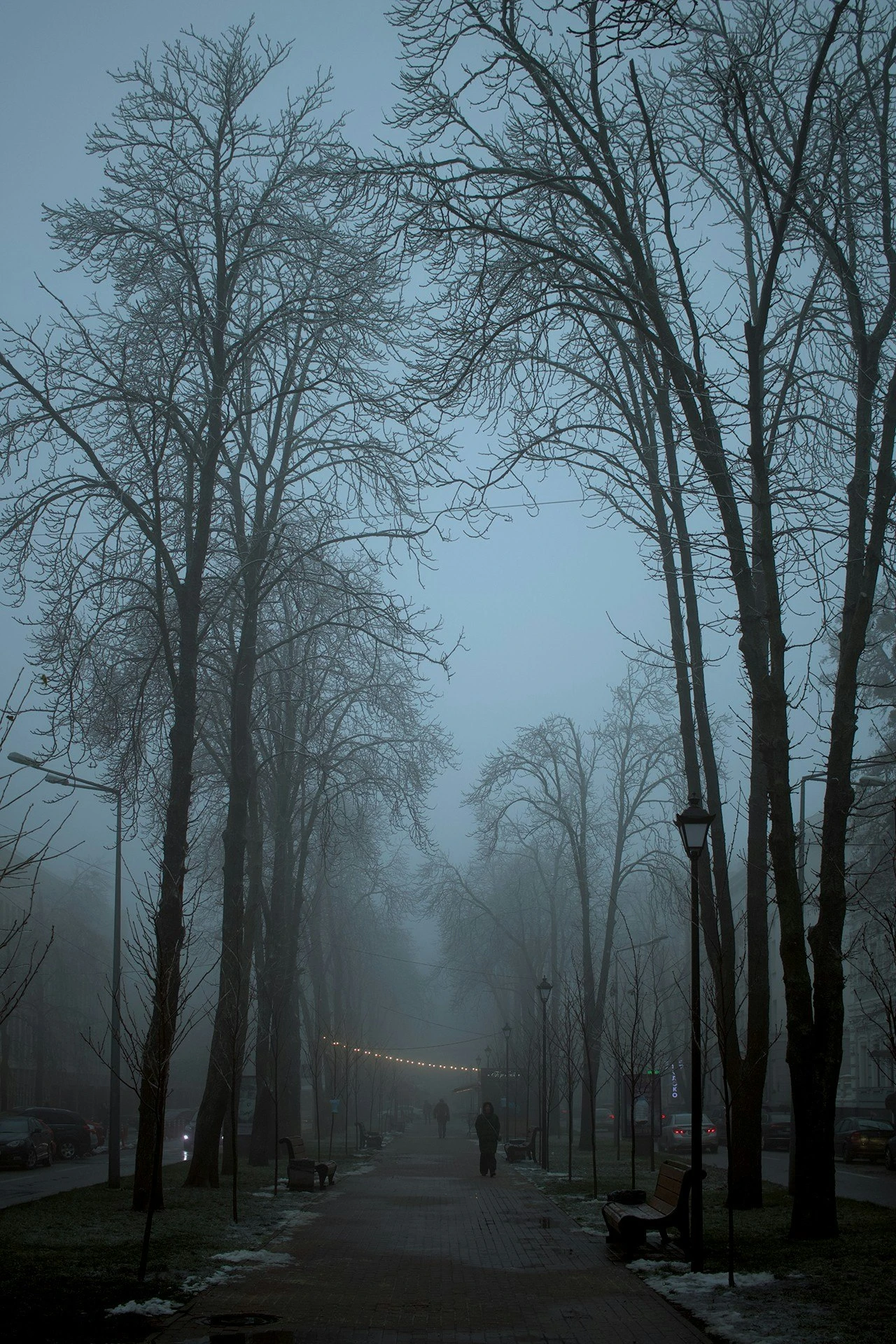 Mariinskiy park, winter
