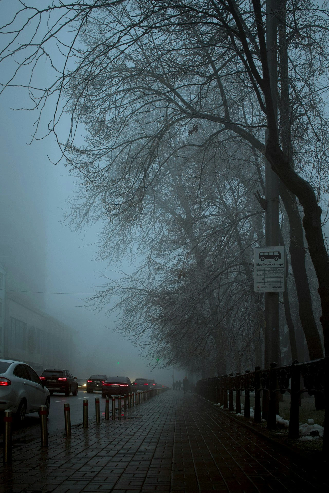 Mariinskiy park, winter